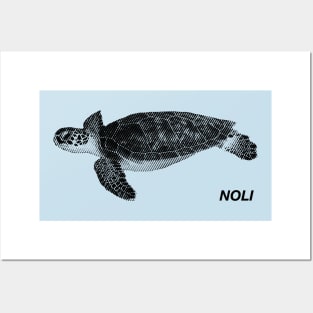 Minimalist Black and White Seaturtle Posters and Art